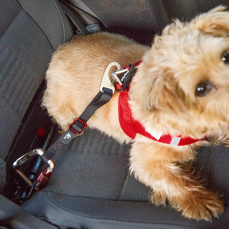 Curli Car Safety Belt 30cm - Image 2